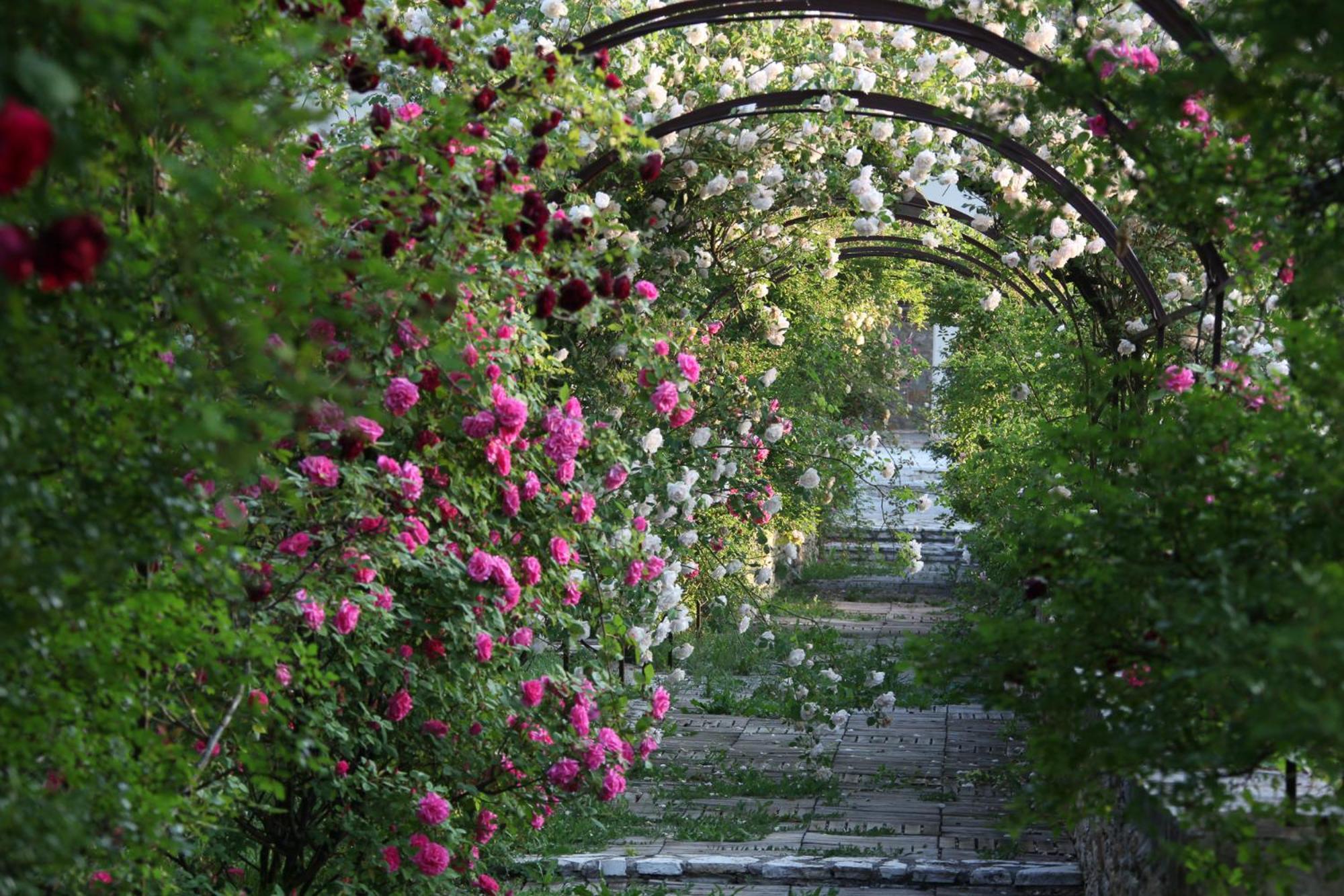 Chateau De Potelières 部屋 写真