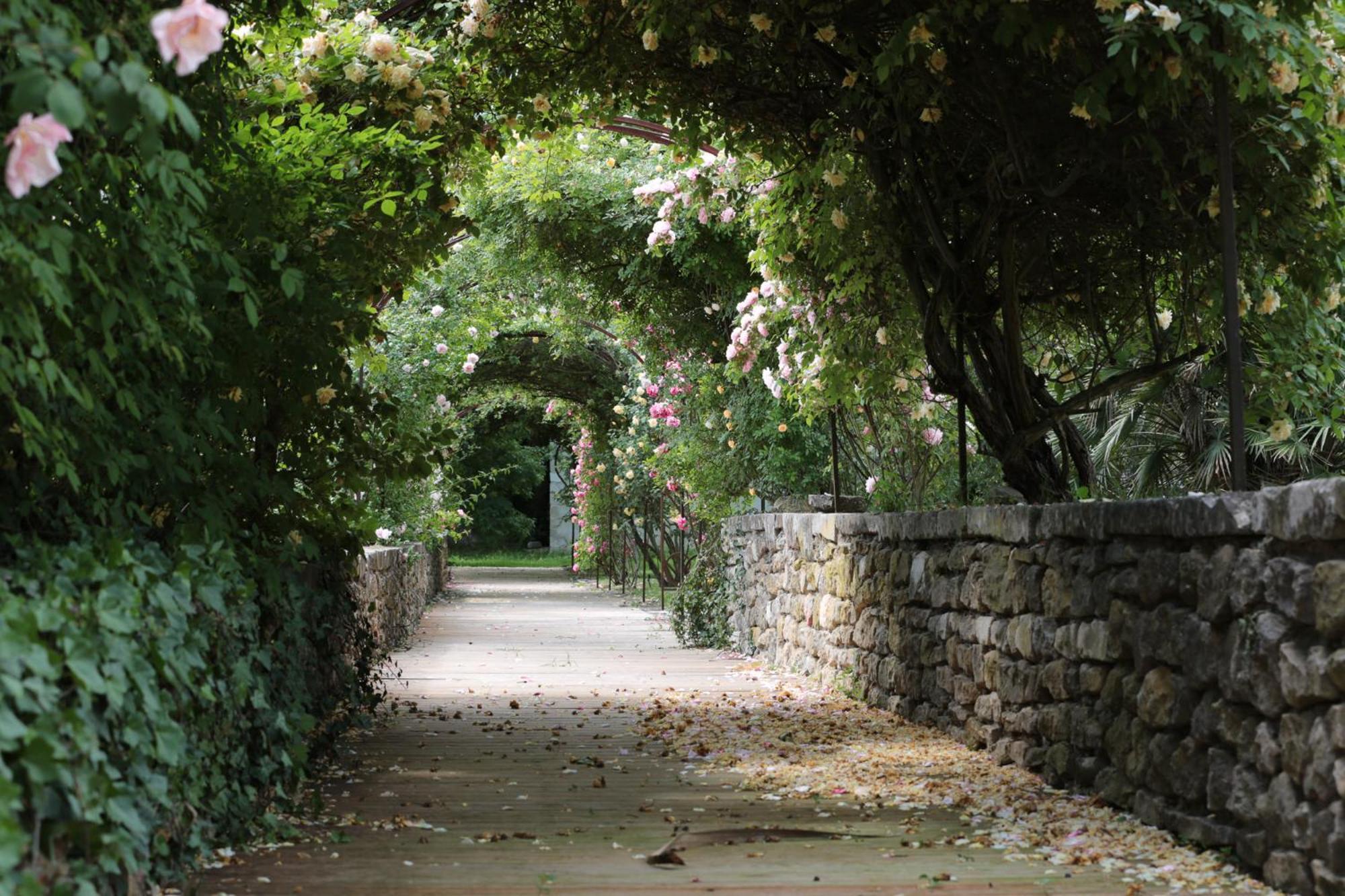 Chateau De Potelières エクステリア 写真